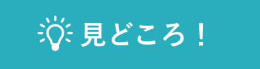 見どころ！